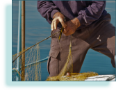 Fisherman mending nets, Chania, Crete
