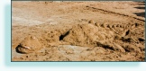 Sand dinosaur on beach, Crte, Greece.